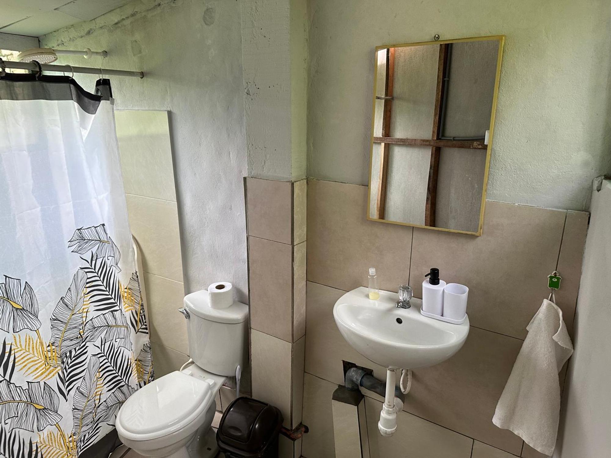 Bed & Breakfast Otorongo